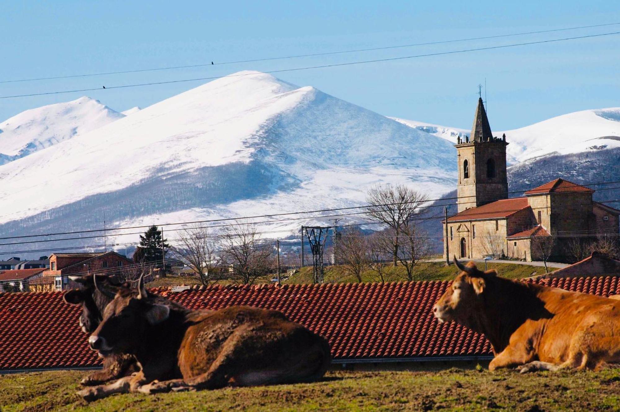 La Regalia De Requejo Villa Reinosa Exteriör bild